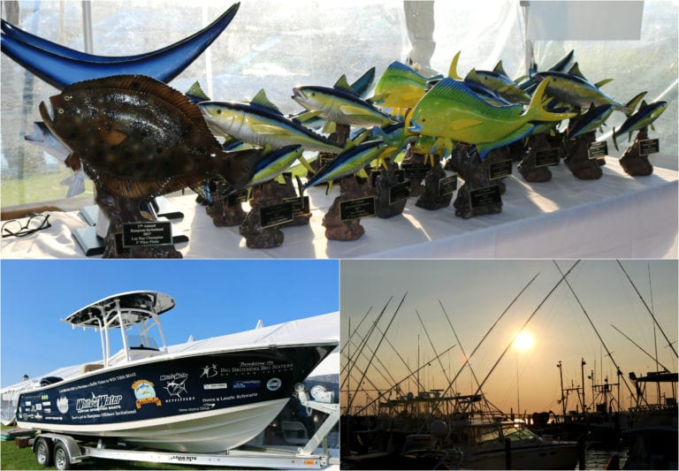 HOI Fishing 2017 Collage 1