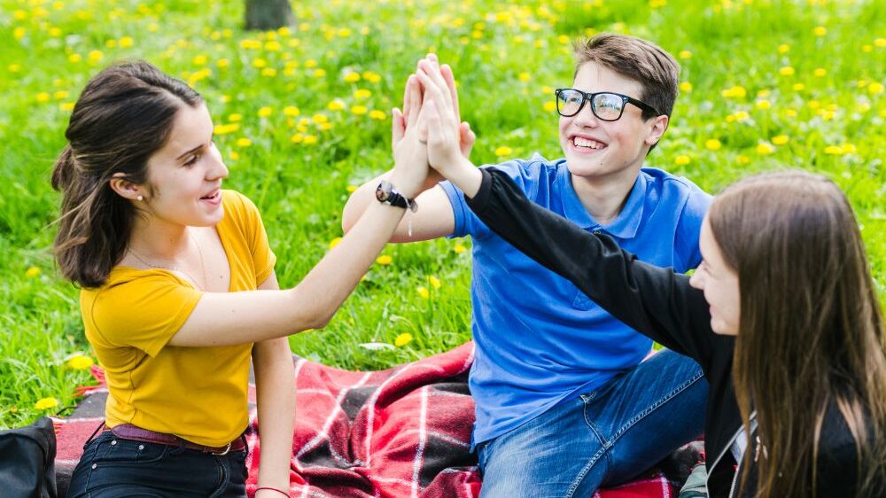 5 C of positive youth development